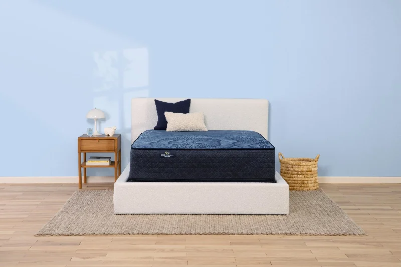 Hybrid mattresses combining foam and innerspring technologyPerfect Sleeper Harvest Moon Firm Mattress