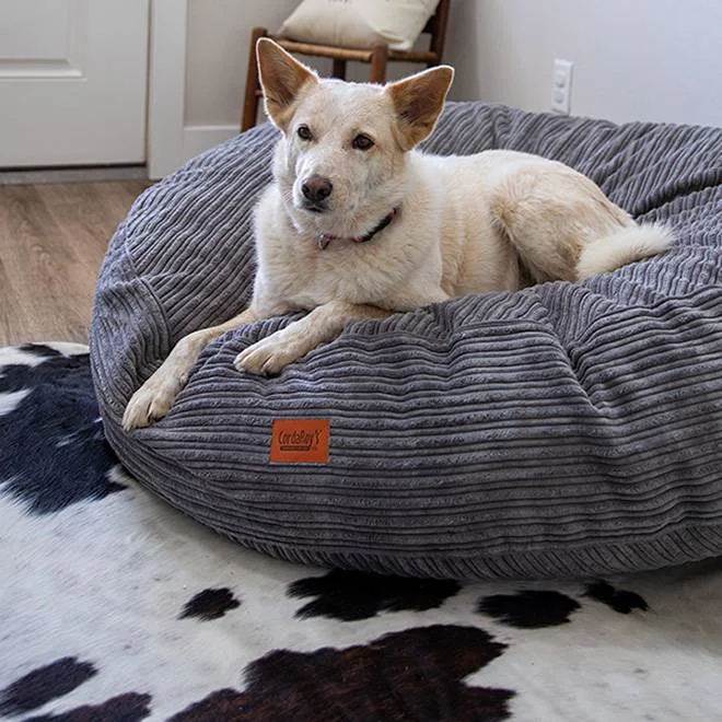 Polyester - foam mattresses for budget - friendly options40 Inch Forever Dog Beds (Waterproof) - Terry Corduroy Polyester - foam mattresses for budget - friendly options40 Inch Forever Dog Beds (Waterproof) - Terry Corduroy