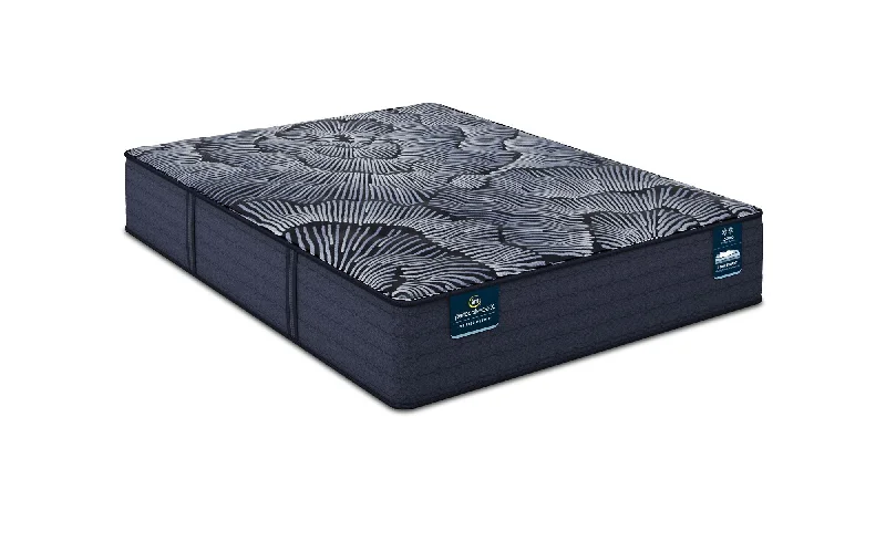 Bamboo - charcoal infused mattresses for odor absorptionSerta Perfect Sleeper X Excelled Extra Firm Bamboo - charcoal infused mattresses for odor absorptionSerta Perfect Sleeper X Excelled Extra Firm