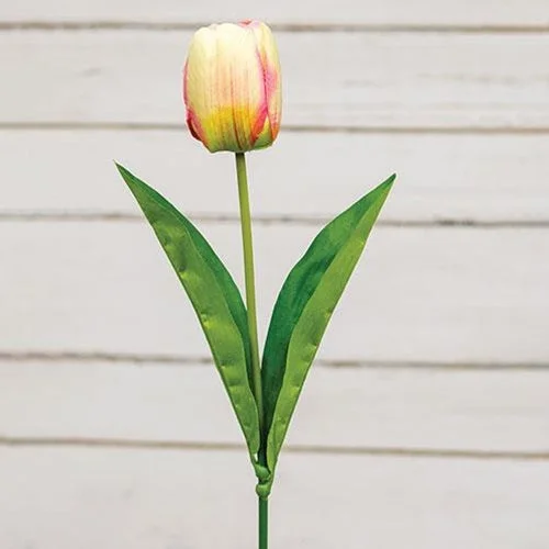 Bed skirts with a lace trim for a romantic touchChampagne Tulip Stem 17.5"