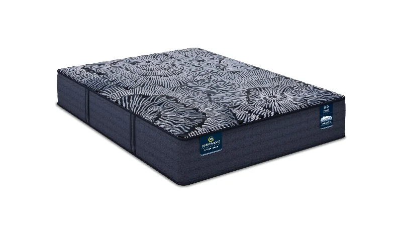 Polyester - foam mattresses for budget - friendly optionsSerta Perfect Sleeper X Knox Firm