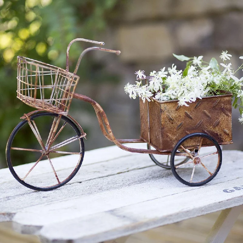 Bed skirts with a tie - back design for adjustabilityRusty Metal Tricycle Planter