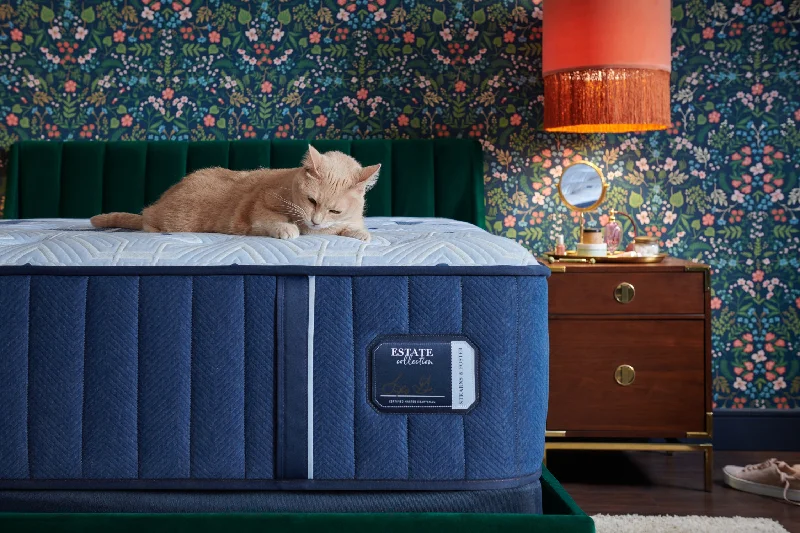 Organic cotton mattresses for a chemical - free sleep surfaceSTEARNS & FOSTER Queen Estate Tight Top