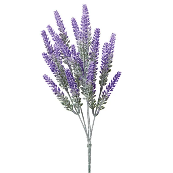 Bed skirts with a football - team - colored patternLavender Bush - Box of 2