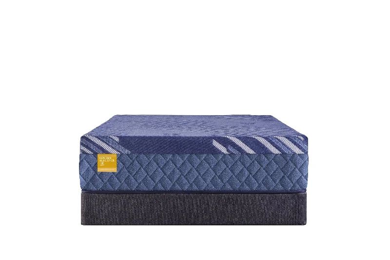 Innerspring mattresses with coil counts for supportSealy Forsyth Park Soft Hybrid 14" Mattress Innerspring mattresses with coil counts for supportSealy Forsyth Park Soft Hybrid 14" Mattress