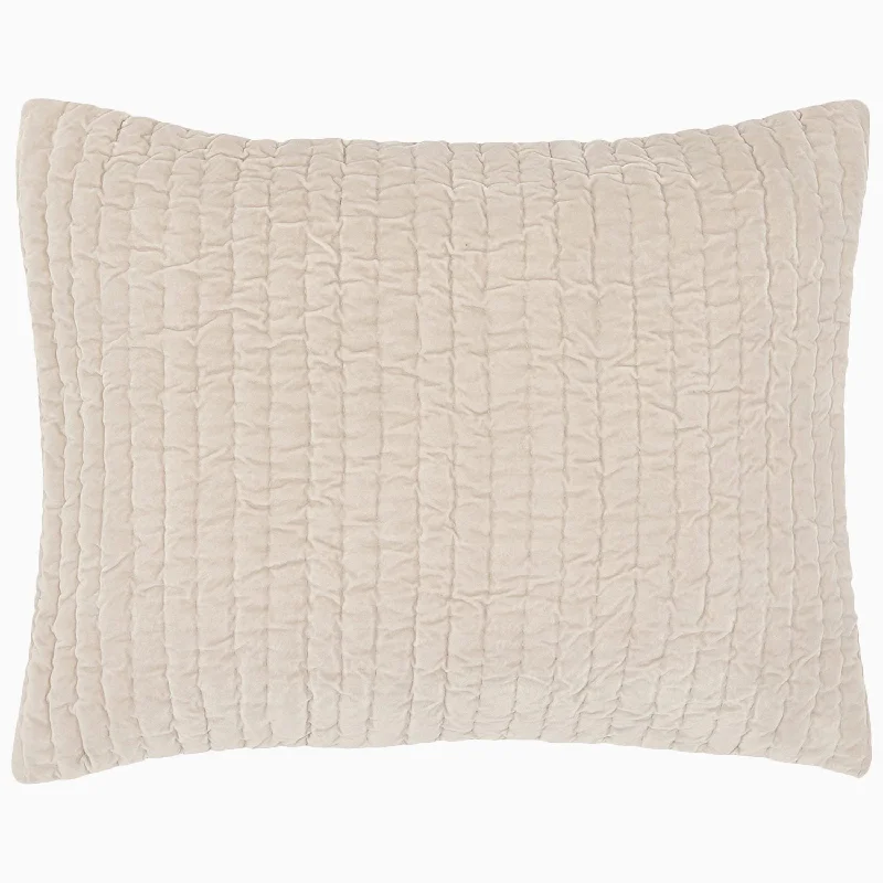 Decorative Pillows for Living Room MakeoverVelvet Sand Sham