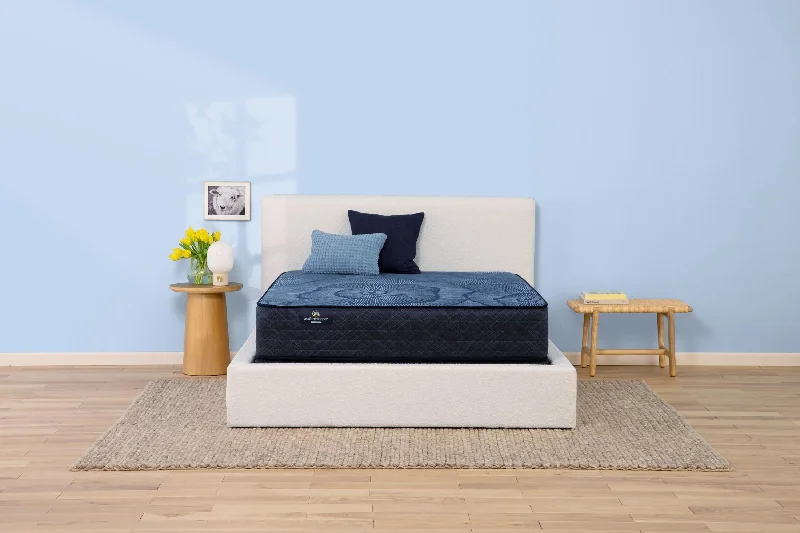 Innerspring mattresses with coil counts for supportPerfect Sleeper Blue Moon Medium Mattress