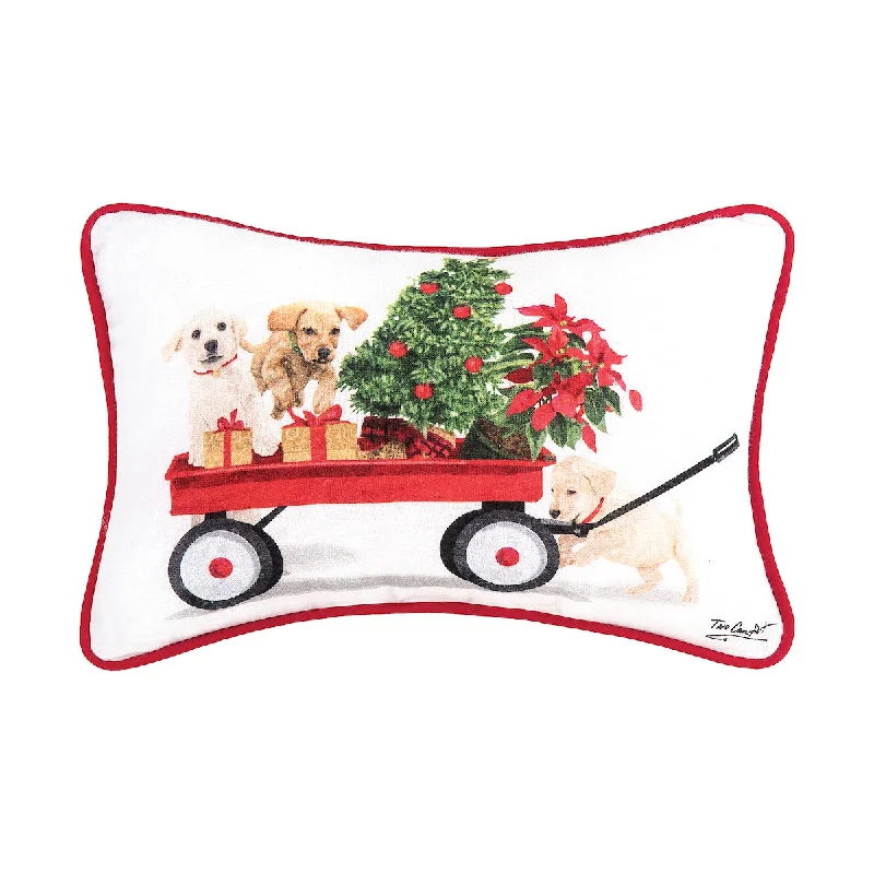 Hypoallergenic Pillows for Allergy SufferersPuppy Wagon Pillow