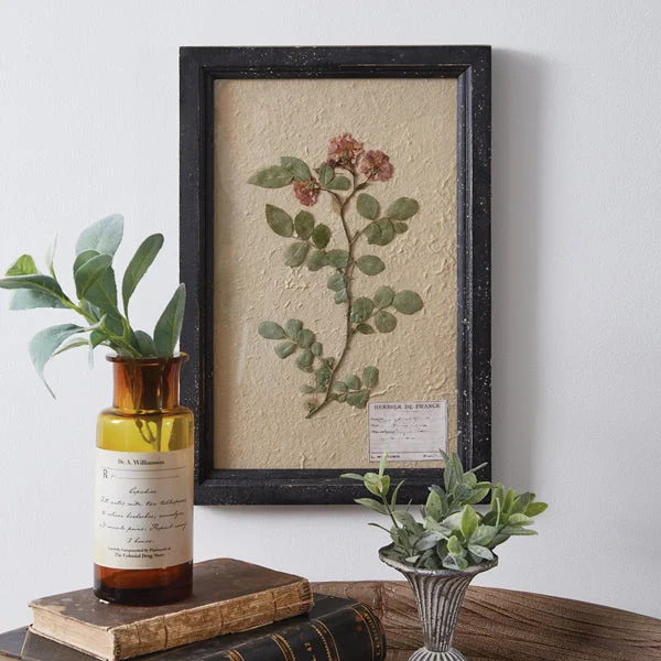 Queen - size bed skirts with ruffled edgesPressed Botanical Wall Decor - Japanese Rose