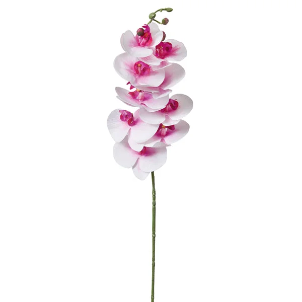 Full - size bed skirts with a gathered fabricMoon Orchid Stem - Box of 4