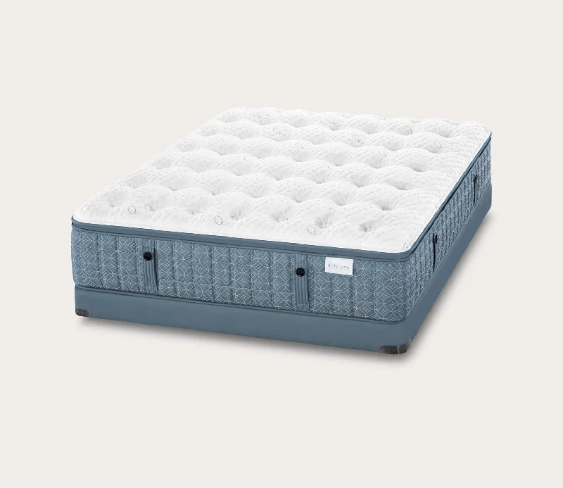 Bamboo - charcoal infused mattresses for odor absorptionAireloom Luxetop M2+ Plush Mattress Bamboo - charcoal infused mattresses for odor absorptionAireloom Luxetop M2+ Plush Mattress