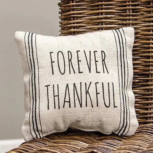 Bed skirts with a high - thread count for a quality feelForever Thankful Striped Natural Pillow Bed skirts with a high - thread count for a quality feelForever Thankful Striped Natural Pillow