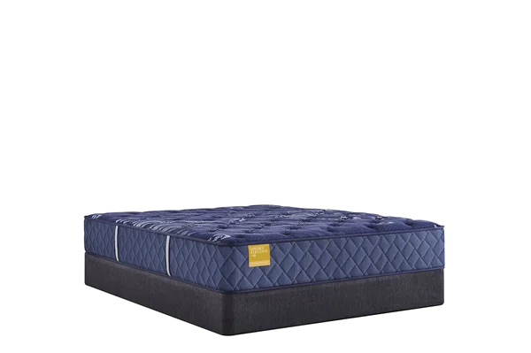 Bamboo - charcoal infused mattresses for odor absorptionSealy Posturepedic Remmington Ultra Firm Bamboo - charcoal infused mattresses for odor absorptionSealy Posturepedic Remmington Ultra Firm