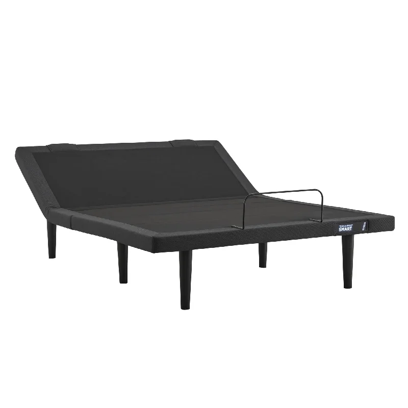 Polyester - foam mattresses for budget - friendly optionsTempur-Ergo Smart Base